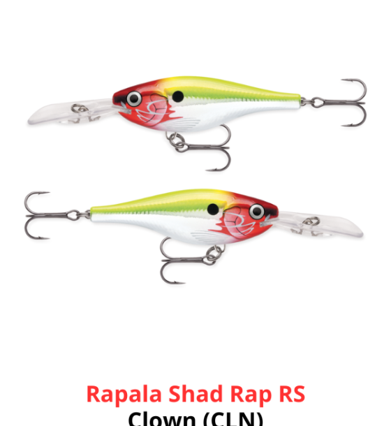 Rapala Shad Rap RS
